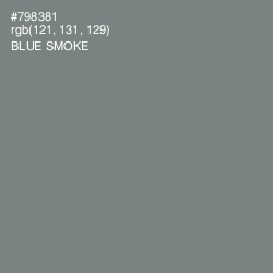 #798381 - Blue Smoke Color Image